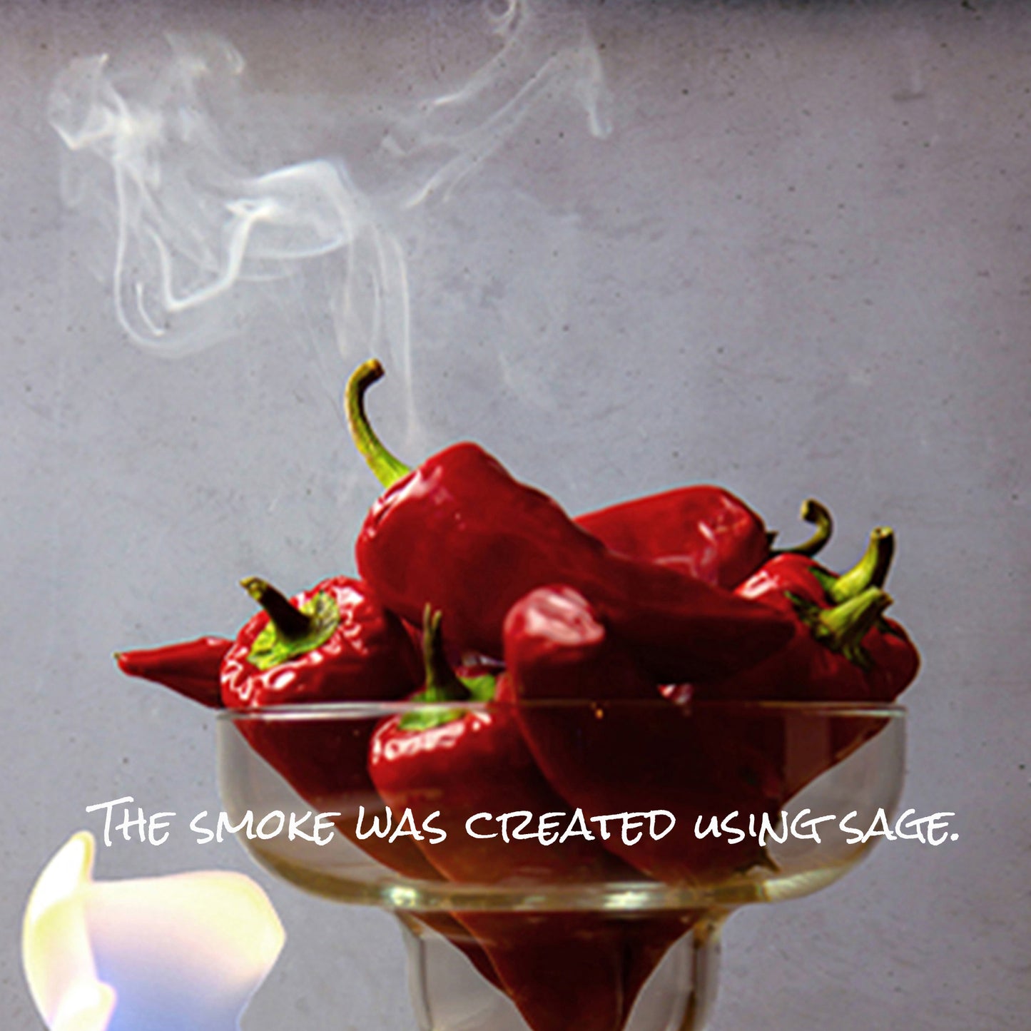 Chili Pepper Inspired Wall Art