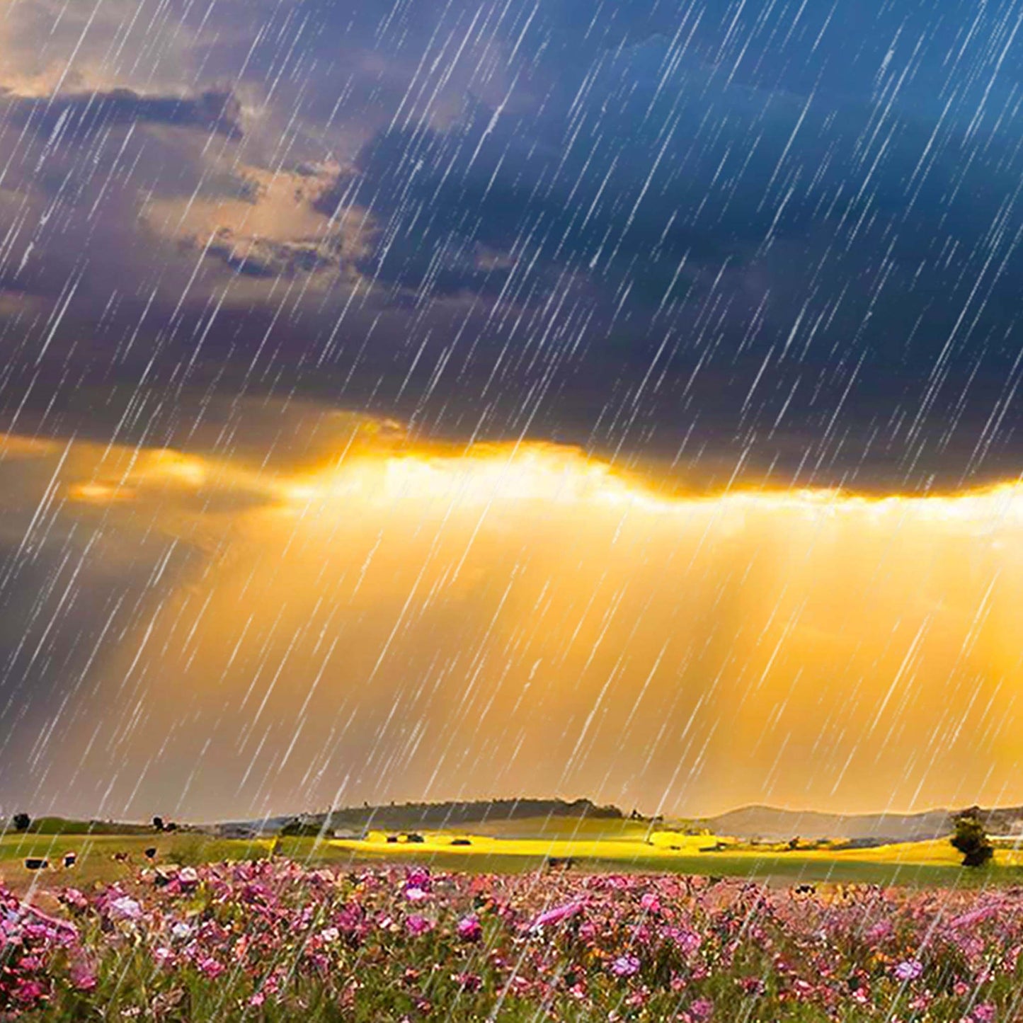 Old Lady on a Bench with an Umbrella Whimsical Art