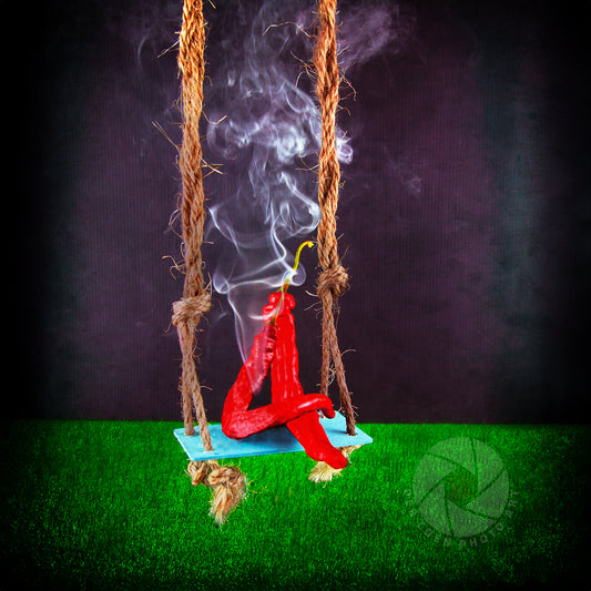 Red Chili Peppers Inspired Wall Art