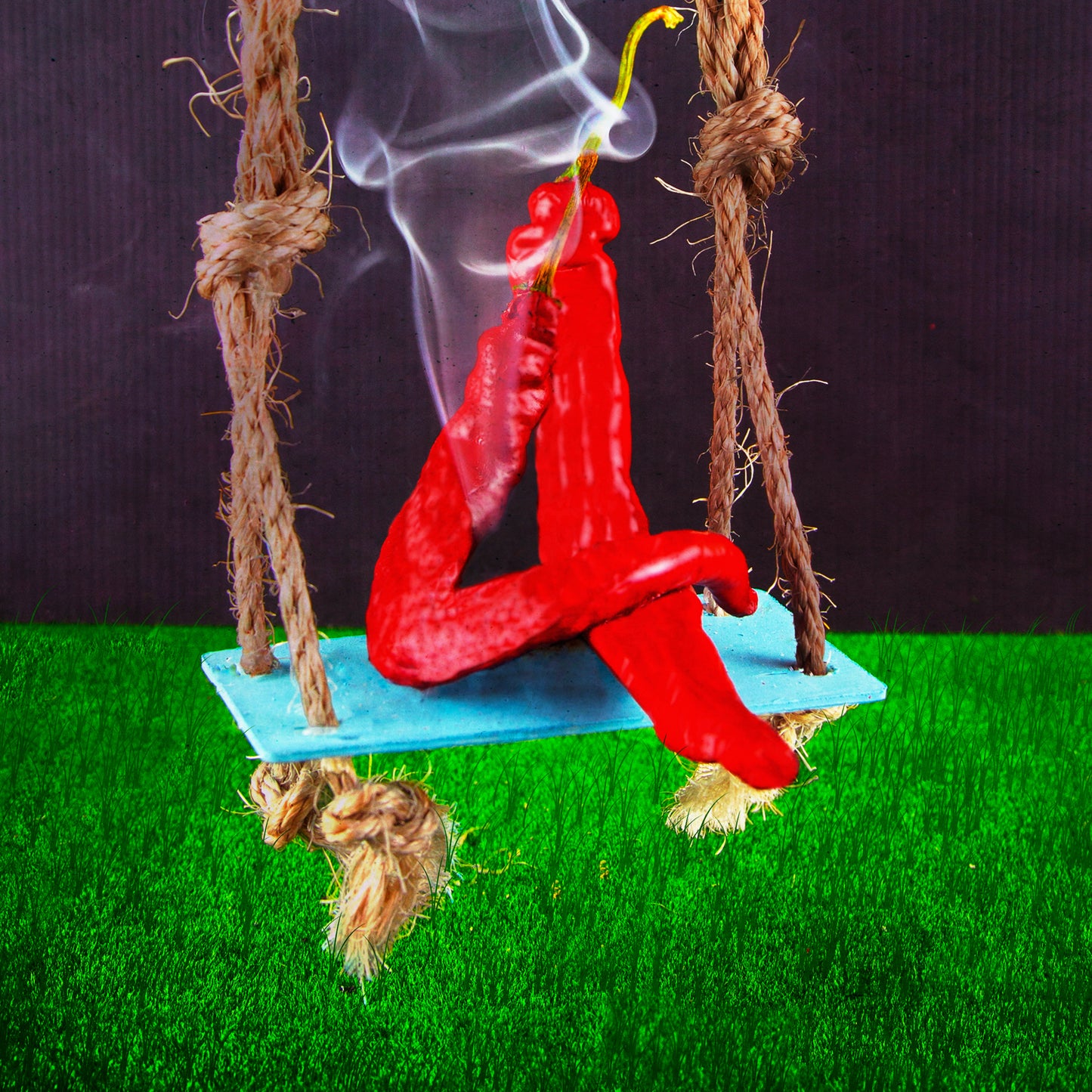 Red Chili Peppers Inspired Wall Art