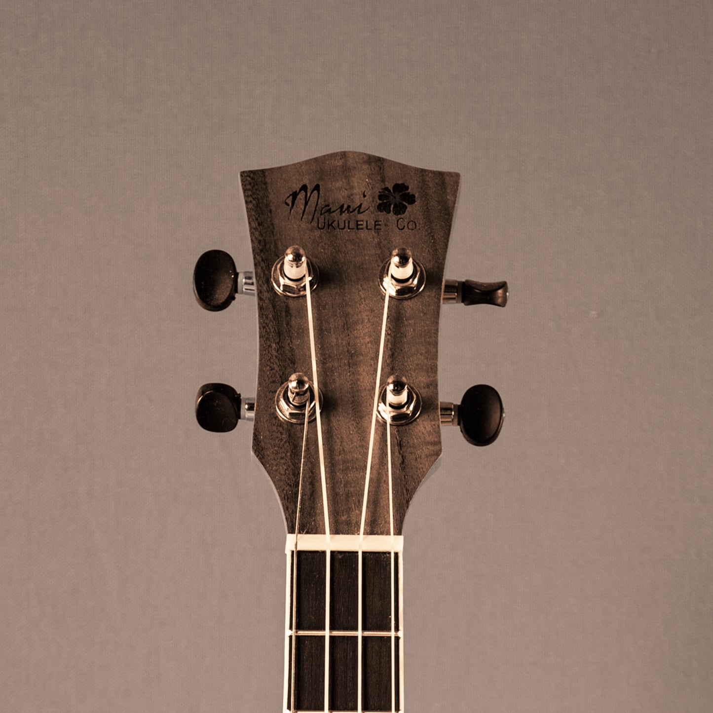 Maui Ukulele Hawaiian Themed Art