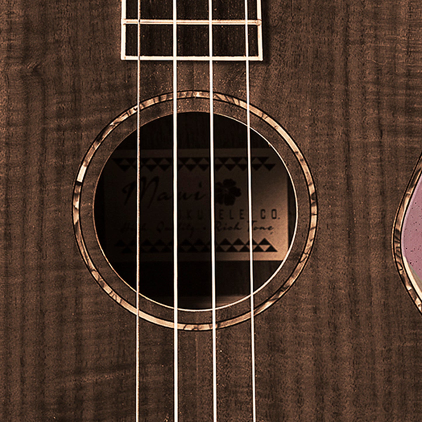 Maui Ukulele Hawaiian Themed Art